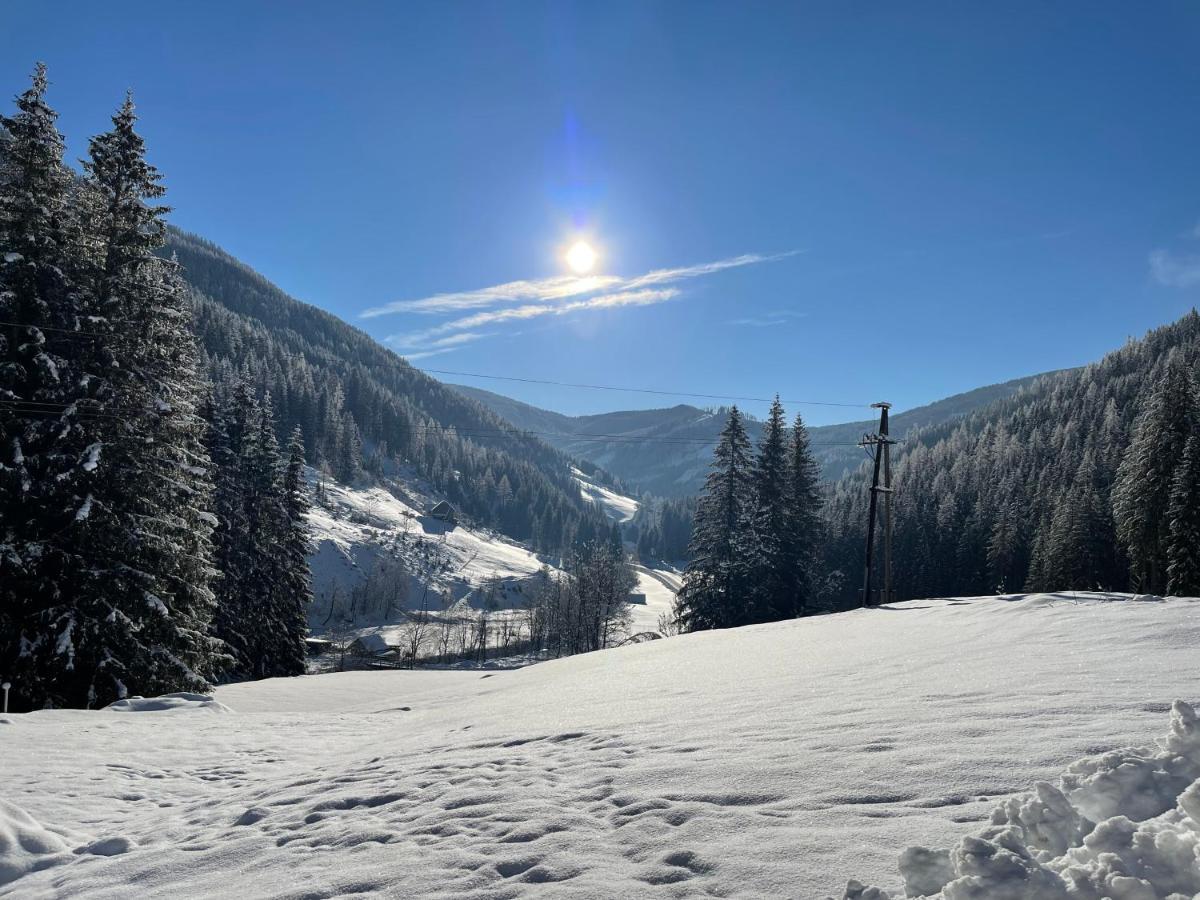 Ferienwohnungen Zum Klammlhof Ebene Reichenau Bagian luar foto